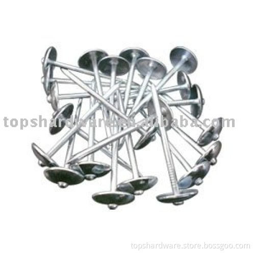 Sell Umbrella roofing Nails/Iron nails
